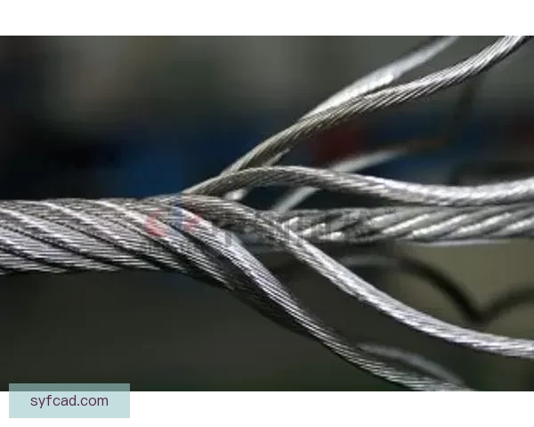 以绳师48号测试哪为中心探讨未来绳索智能评估体系的构建方略